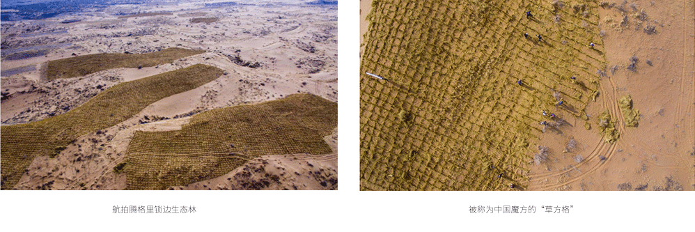 赫基連續3年助力百萬森林計劃改善130萬平方米荒漠